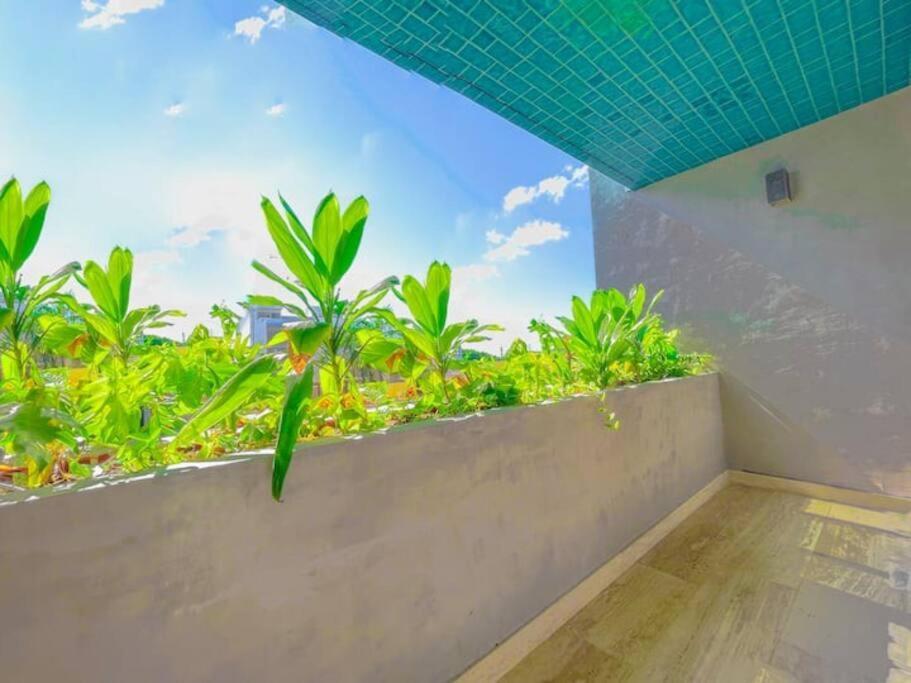 Apartamento Estudio Centrico Entre Av. 10 Y 5ta Av.